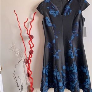 NWT black dress with blue flowers size 12